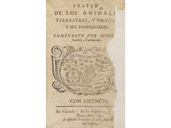 Lote 35