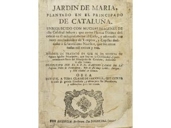Lote 172