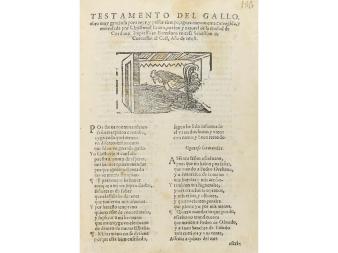 Lote 184