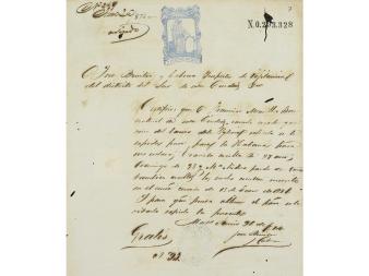 Lote 473