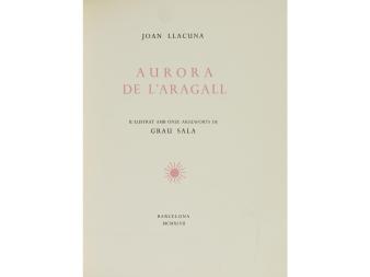 Lote 65