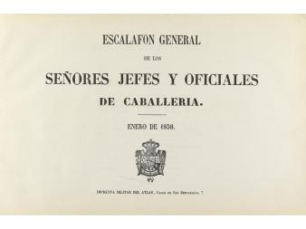 Lote 503