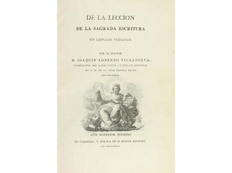 Lote 317