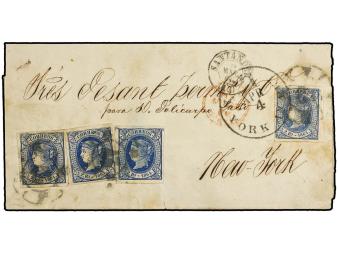 Lot 294