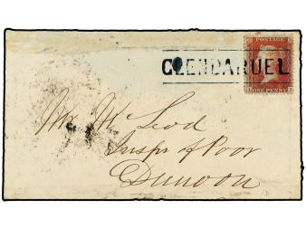 Lot 2515