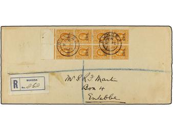 Lot 2593