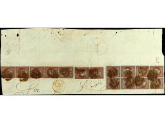 Lot 247