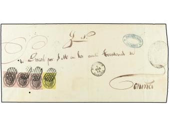 Lot 242