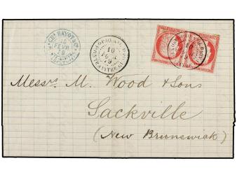 Lot 2339