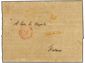 Lot 1443