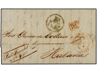 Lot 1423