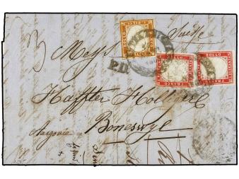Lot 2950