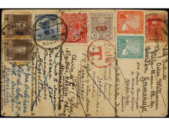 Lot 527