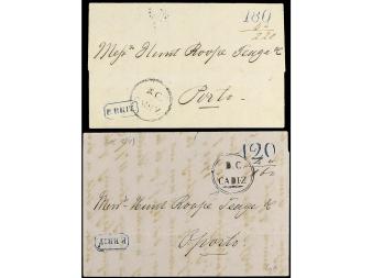 Lot 2510