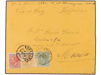 Lot 429