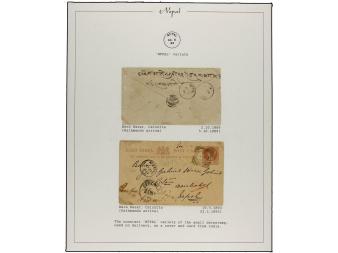 Lot 3241
