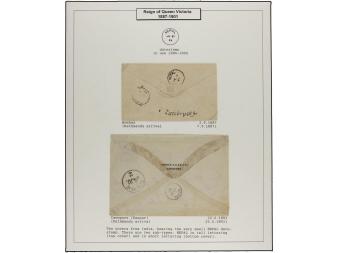 Lot 3239