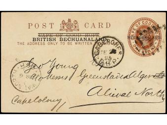 Lot 2558