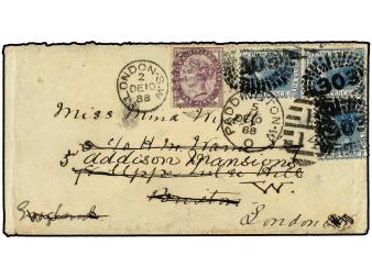 Lot 2548
