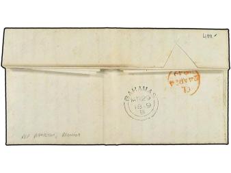 Lot 2551