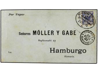 Lot 3619