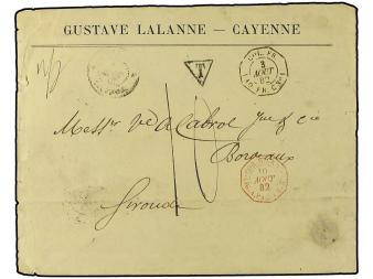 Lot 2369