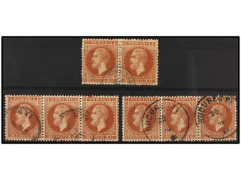Lot 3505
