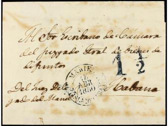 Lot 1442
