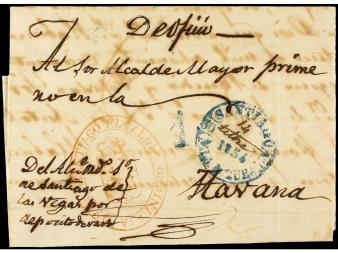 Lot 1449