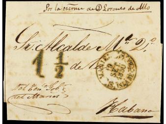 Lot 1441