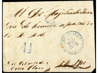 Lot 1446