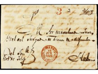 Lot 1428