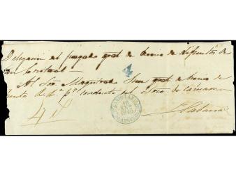 Lot 1439