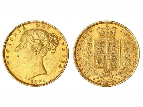 Lot 1445