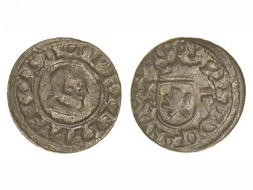 Lot 559