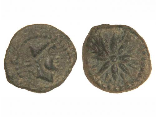 Lote 56