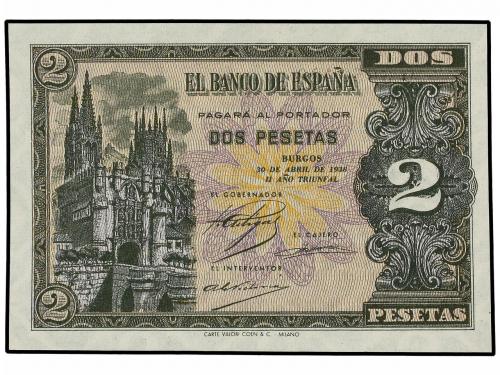 Lote 4607
