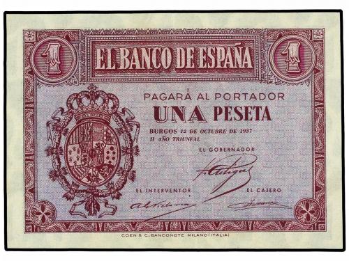 Lote 4572