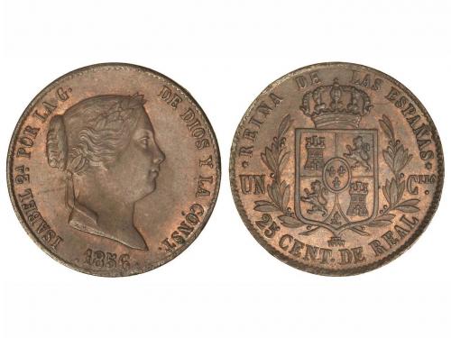 Lot 4051