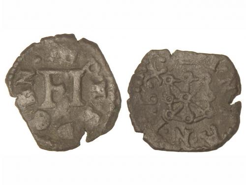 Lot 555