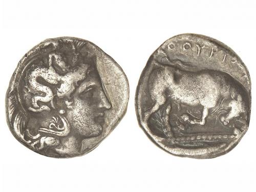 Lot 2024
