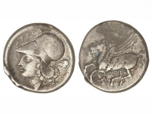 Lot 20