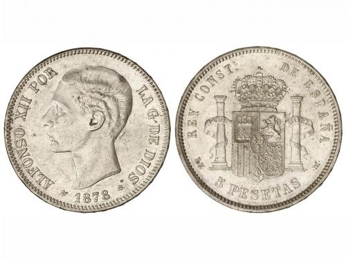 Lot 1041