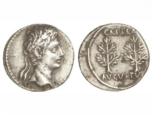 Lot 237