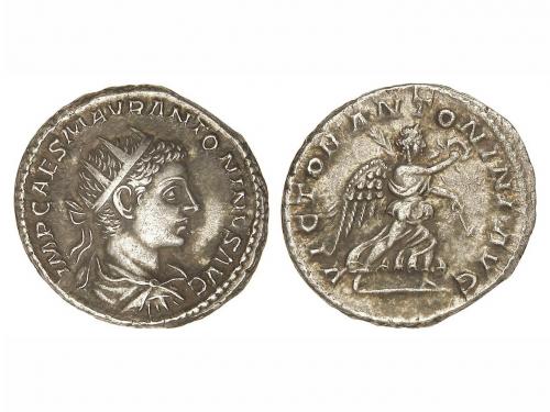 Lot 294