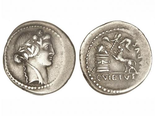 Lot 229