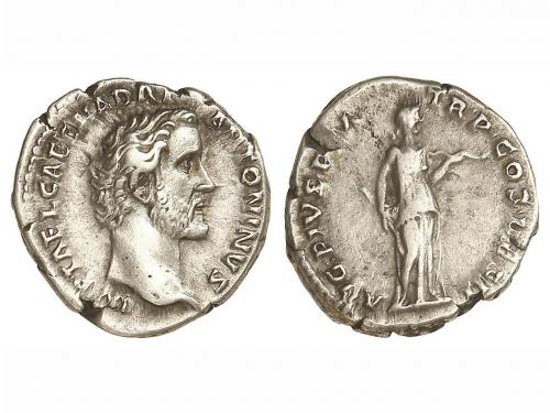 Lot 2881