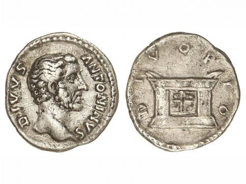 Lote 2901