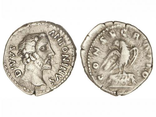 Lot 2884