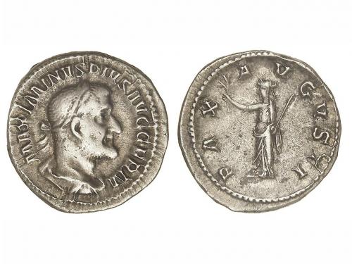 Lot 3135